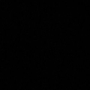 Meet your Posher, Rose